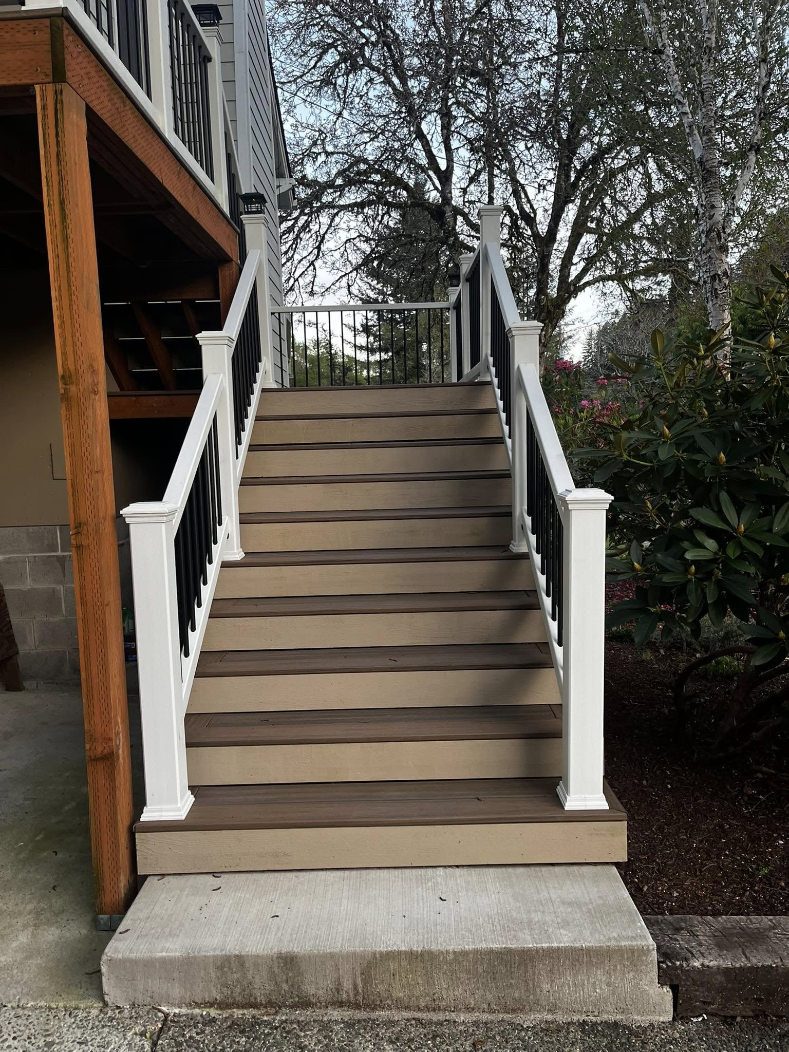 491290086_122163338222546075_475936642456052324_n